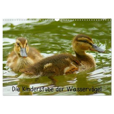 Die Kinderstube der Wasservögel (Wandkalender 2027 DIN A3 quer), CALVENDO Monatskalender