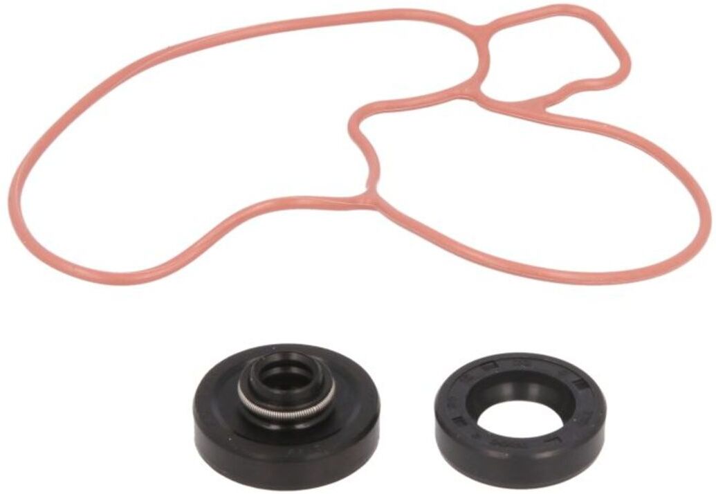 Reparatursatz, Wasserpumpe HOT RODS WPK0044