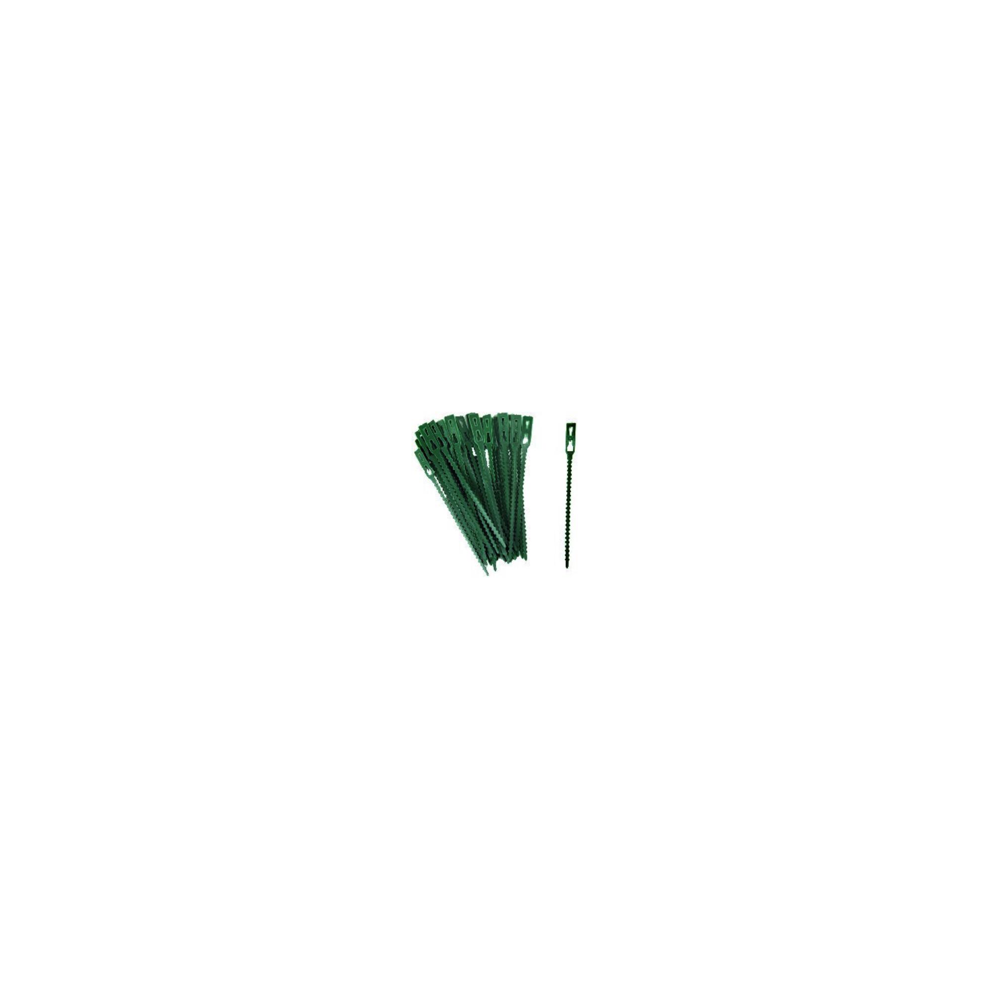 floraworld Pflanzenbinder 14cm 40er Set (10956)