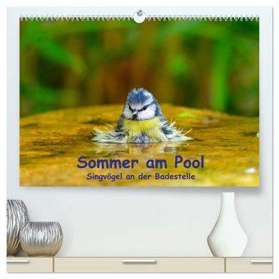 Sommer am Pool - Singvögel an der Badestelle (hochwertiger Premium Wandkalender 2026 DIN A2 quer), Kunstdruck in Hochglanz