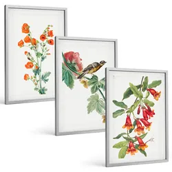 BILDER SET 3er Set - 40x60 cm Silberner Rahmen - Gemalte Blumen und ein Vogel