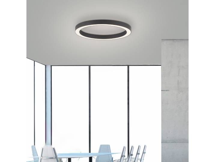 Plafonnier LED Lines Round, graphite, Ø 50 cm, CCT - PURE PURE Lines Round - Salon / séjour - Moderne - Métal - Rond