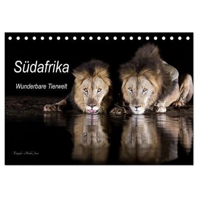 Südafrika wunderbare Tierwelt (Tischkalender 2027 DIN A5 quer), CALVENDO Monatskalender