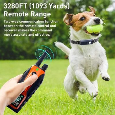 Uplifted Goods Long Range Electric Dog Training Collar With Waterproof Control blue Two Collars