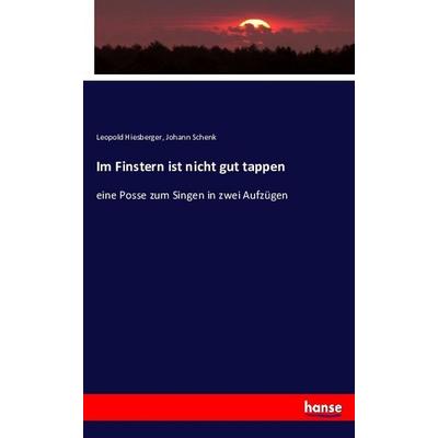 Im Finstern ist nicht gut tappen, Taschenbuch von Leopold Hiesberger,Johann Schenk, Hansebooks, 978-3-7434-0990-3