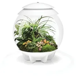 Biorb Air 30 weiss
