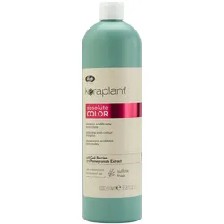 1L Lisap Keraplant Absolute Color Acidifying Post-Colour Shampoo