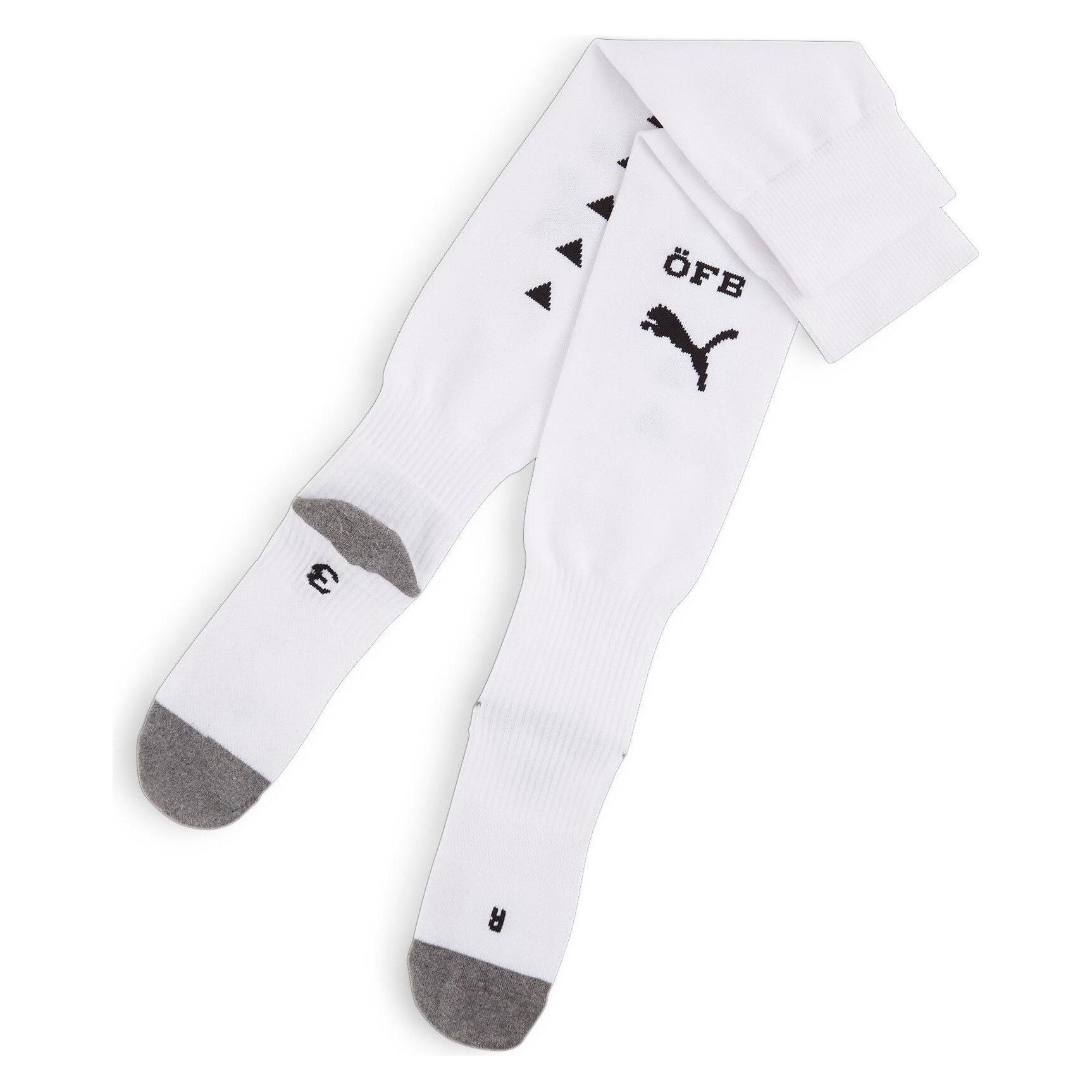 Puma Team ÖFB Stacked Logo Socks Replica (M) (774169_03)