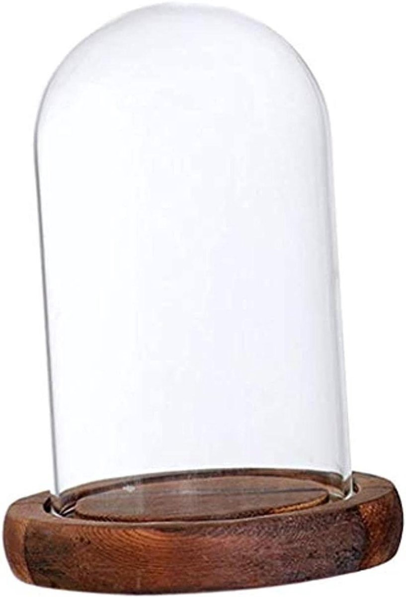 Glazen Koepel Decoratieve Vitrine met Houten Basis - Zwart