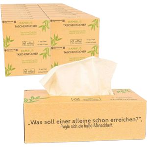 pandoo Taschentücher Großpackung, Box, Bambus, 3-lagig, holzfrei & sanft, je 100 Tücher, 24 Stück