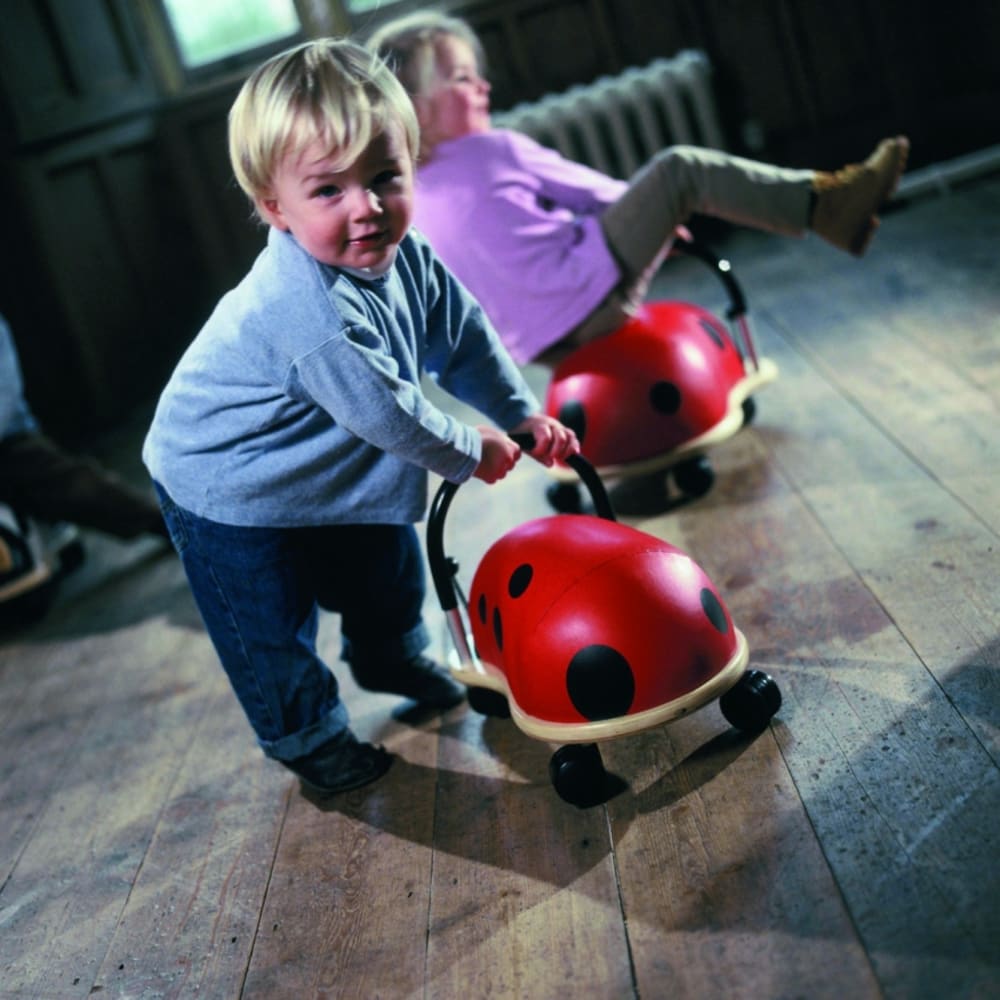 Wheely Bug Petit porteur Coccinelle Rouge 23x38x30cm