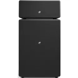 Audio Pro Drumfire II W (Airplay 2, Bluetooth, WLAN), Multiroom Lautsprecher, Schwarz