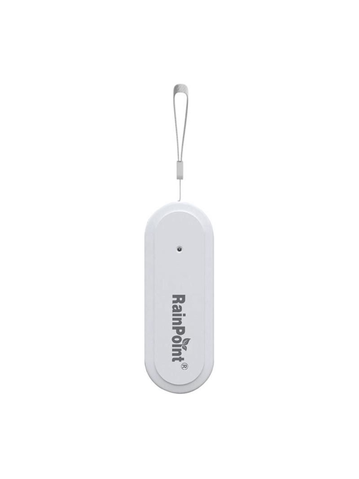 RainPoint Rainpoint Smart+ Smart Thermohygrometer