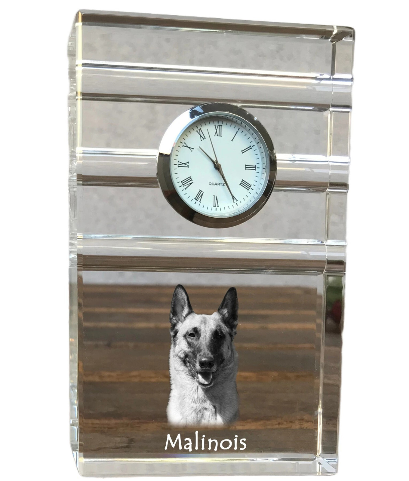 Art-Dog Klok Mechelse herder