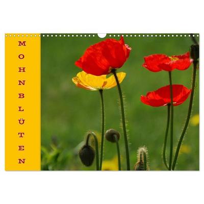 MOHNBLÜTEN (Wandkalender 2027 DIN A3 quer), CALVENDO Monatskalender