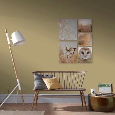 Leinwandbild ART FOR THE HOME "Set Natur", bunt (farbe bild(er): mehrfarbig), B:60cm H:80cm T:2,5cm, Bilder, Leinwandbild