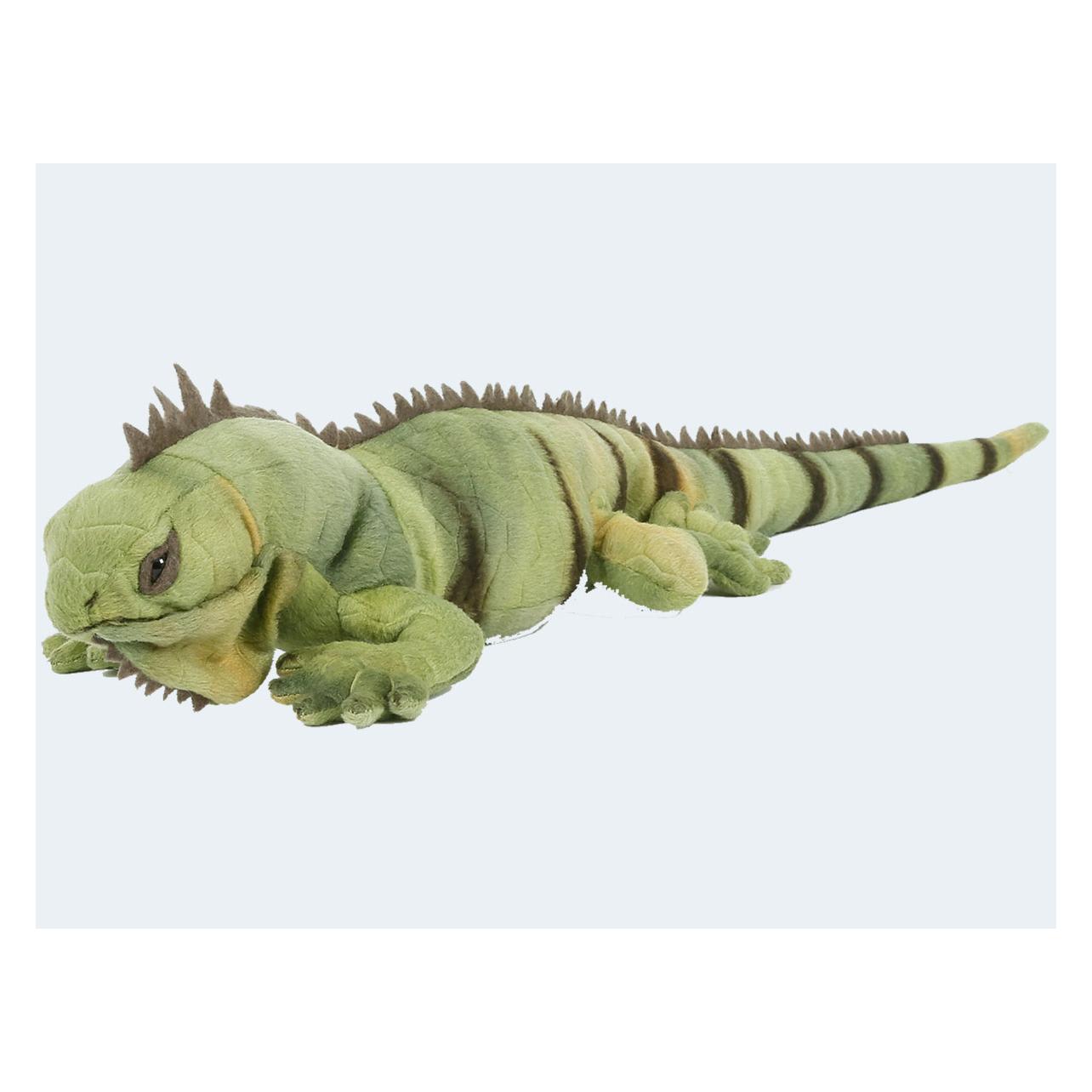 Semo Leguan mittel 55cm (55 cm) (DRV-22LN01)