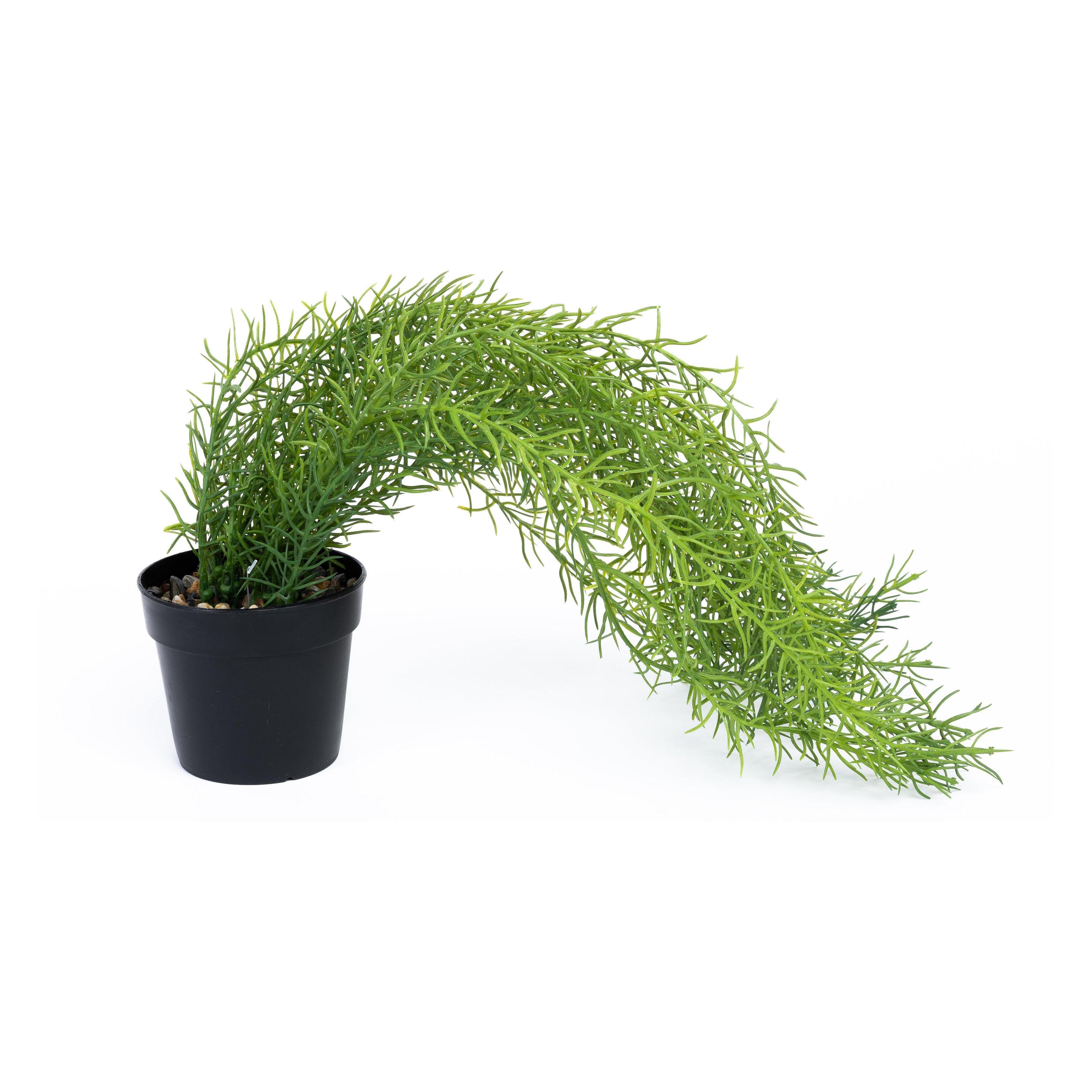 Domoletti Artificial plant (46 cm) (54034179)