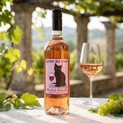 di Camillo 2025 Gatto del Vino Merlot Rosato 2025 Merlot Italien
