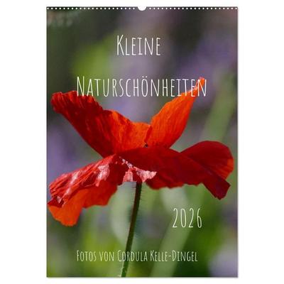 Kleine Naturschönheiten (Wandkalender 2026 DIN A2 hoch), CALVENDO Monatskalender