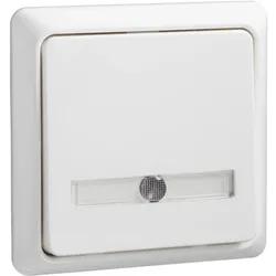 Elso 506344 Tast 42V/1A Aufputz flach Schriftfeld beleuchtet 1xLED Ans RENOVIERUNG reinweiß