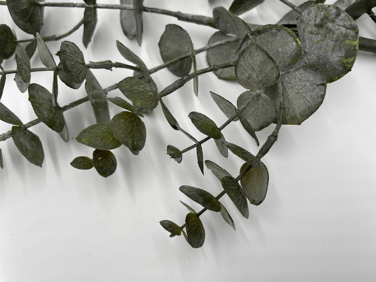 Kunstplant Tak Eucalyptus Groen 80 cm