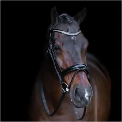 Imperial Riding, Zaumzeug