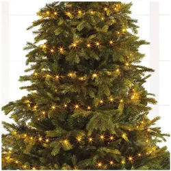 Viana, Lichterkette, LED Lichterkette 80 LEDs für innen und aussen (9 m)