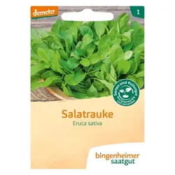 Bingenheimer Saatgut Salatrauke Ruca demeter