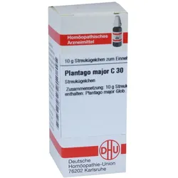Plantago Major C 30 Globuli 10 g