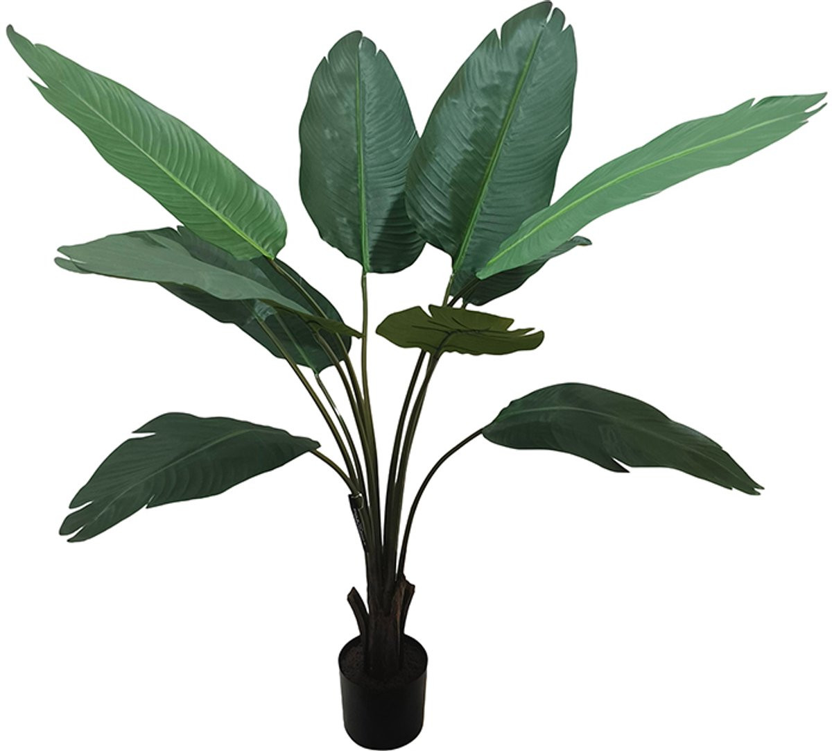 Pole to Pole Travellers Palm Tree 150cm