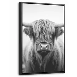 LEINWAND Bilder mit Rahmen - Schottischer Highlander - Nebel - Schwarz - Weiß - 40x60