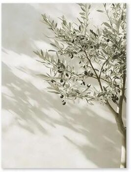 Uplifted Finds Mediterranean Olive Grove Canvas   Countryside Landscape Art   Executive Studio & Coastal Sanctuary Decor lc028 2 40 X 50 Cm Unframed