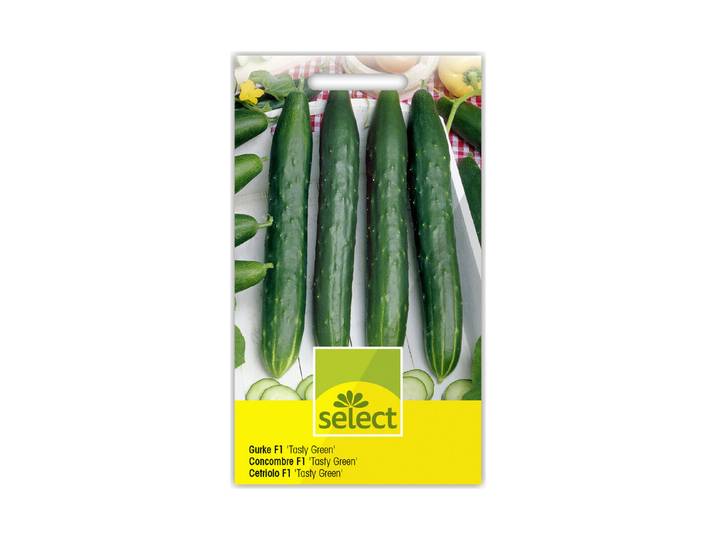Select Freilandsalatgurke