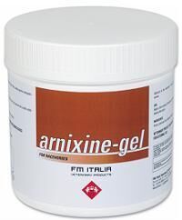 Fm Italia Group Arnixine Gel 3000ml