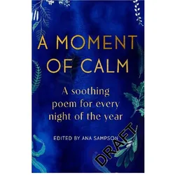 A Moment of Calm, Belletristik von Sampson Ana