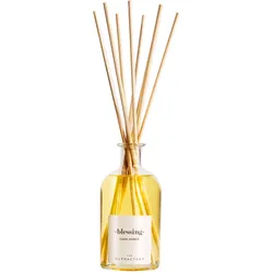 Blessing - Dark Amber 100ml Reed Diffuser