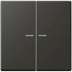 Jung Wippe mit Lichtleiter LC 102 KO5 259