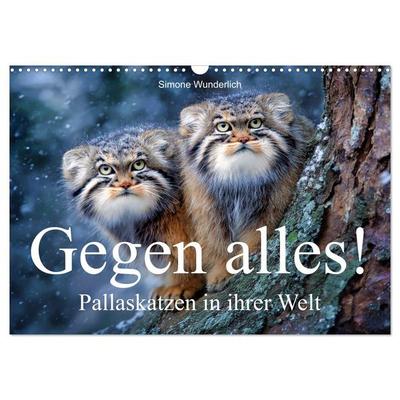 Gegen alles! - Pallaskatzen in ihrer Welt (Wandkalender 2027 DIN A3 quer), CALVENDO Monatskalender