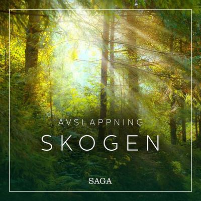 Avslappning - Skogen - Rasmus Broe, Audio, 9788726185652