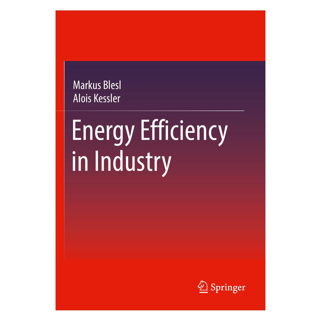 Springer Energy Efficiency in Industry (Englisch, Softcover, Alois Kessler, Markus Blesl) (56908036)