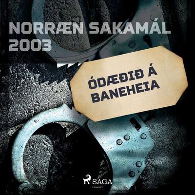 Ódæðið á Baneheia - Ýmsir, Audio, 9788726513189
