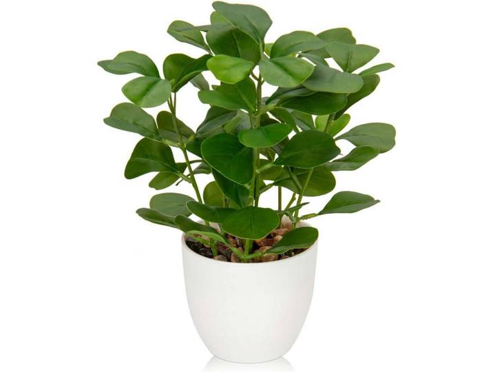 Kunstpflanze Ficus 25 cm weiß, Grün, Kunststoff, 25 cm, Dekoration, Blumen & Blumentöpfe, Kunstpflanzen