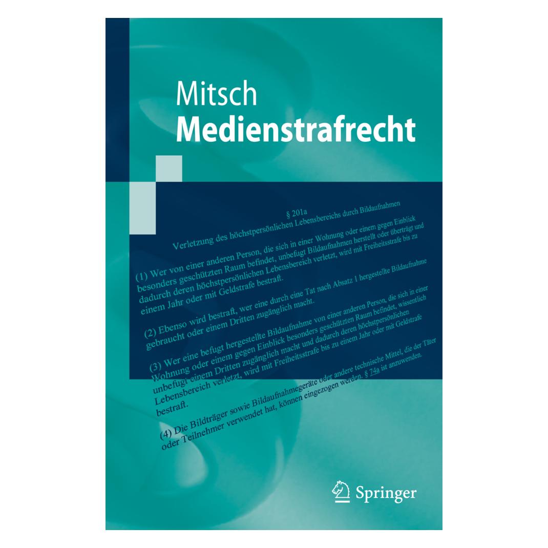 Springer Medienstrafrecht (Deutsch, Softcover, Wolfgang Mitsch) (7924942)