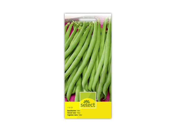 Select Buschbohne Felix