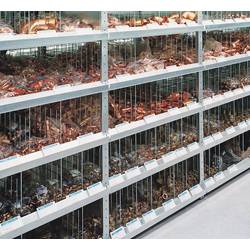 META Regalbau 74444 Fachbodenregal-Grundmodul 230 kg (B x H x T) 1.356 x 2.5 x 53.6 m Stahl verzinkt Verzinkt Metallboden