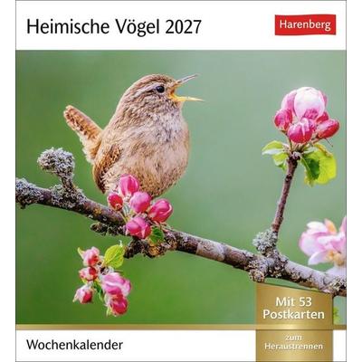 Heimische Vögel Postkartenkalender 2027 - Wochenkalender mit 53 Postkarten