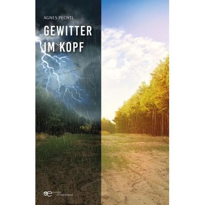 GEWITTER IM KOPF, Taschenbuch von Agnes Pechtl, Europa Edizioni srl