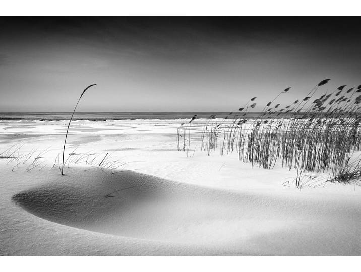 Fototapete PAPERMOON Photo-Art REINIS CÄªRULIS, ORCHESTER , bunt, B:4,5m L:2,8m, Vlies, Tapeten, Fototapete