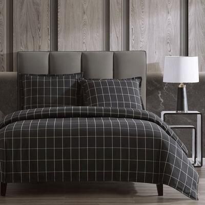 Hiend Accents Windowpane Plaid Mini Comforter Set Black, Twin, Black